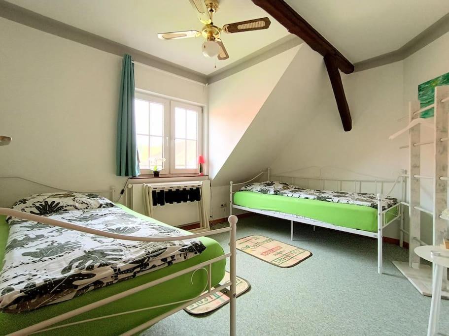 Ruhiges Exzellenz-Appartement Diana Im Elb-Urstromtal - Fast Wlan, Good For Long-Terms Bleckede Exterior foto